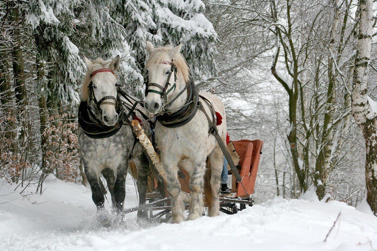 10 pomysłów na to co robić zimą